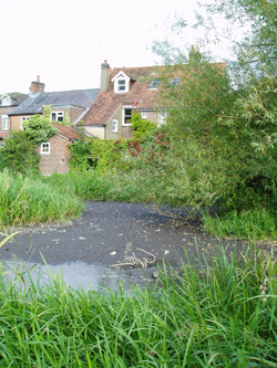 The dry bed along Waterside, Chesham